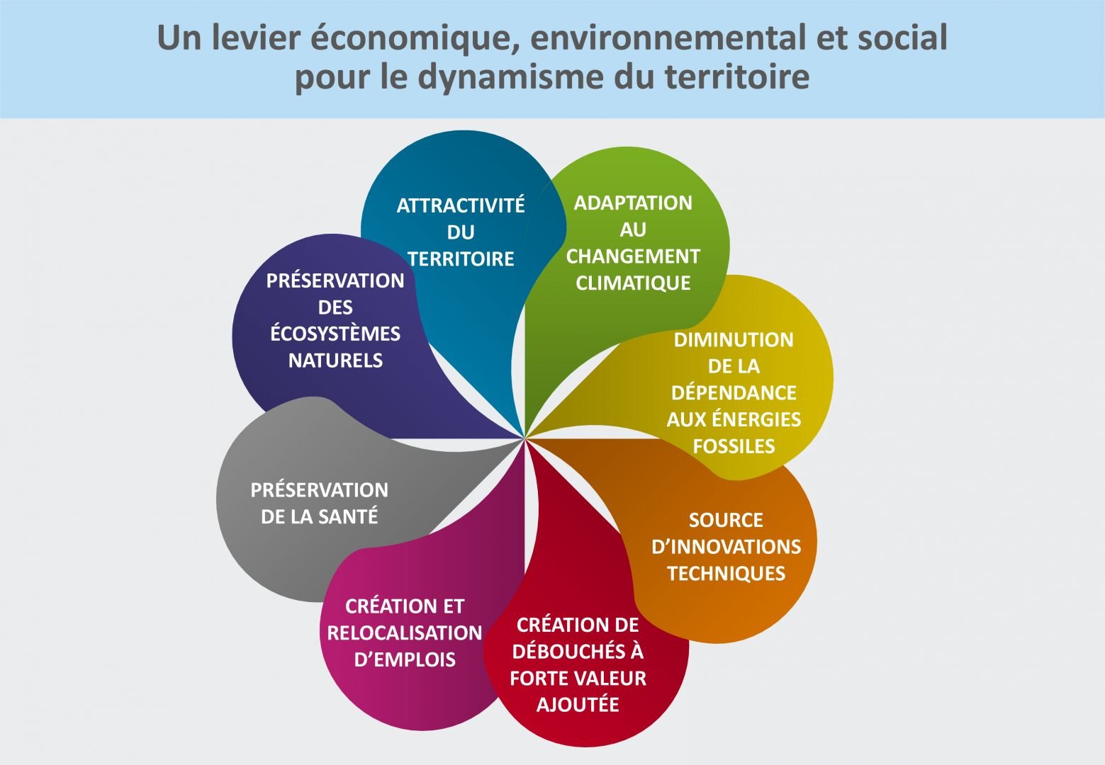 schéma bio économie